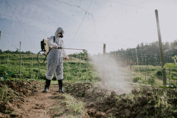 Professional Pest Control in Williamson, WV