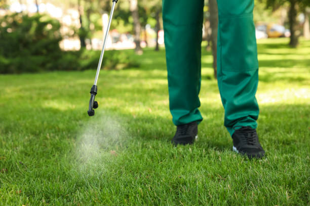 Best Pest Removal Services  in Williamson, WV